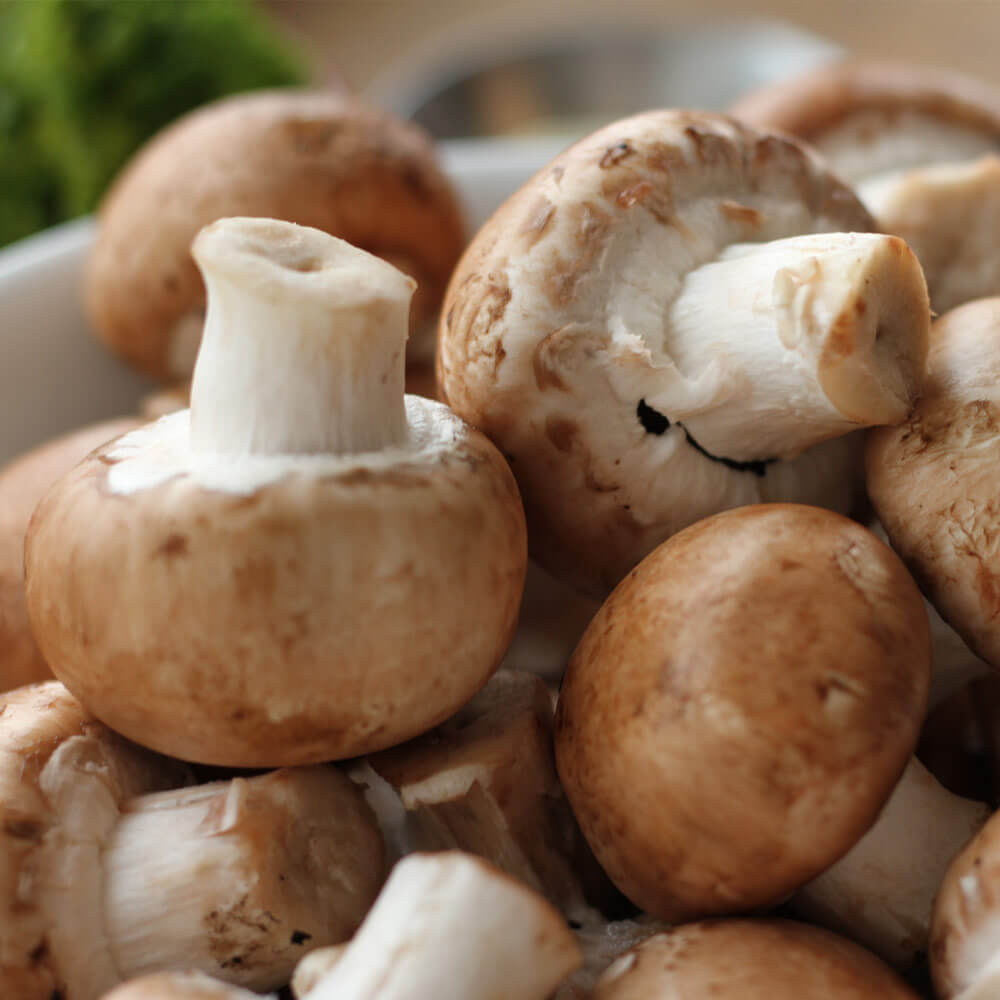 Healthy Creamy Mushroom Soup - Mushroom